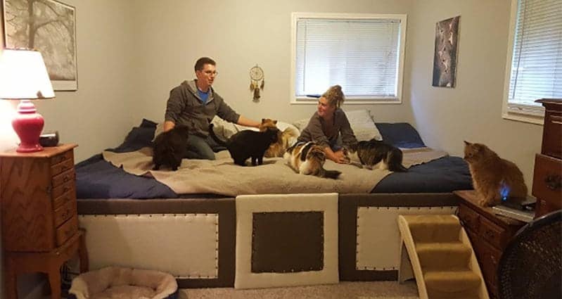 Couple Builds Awesome Giant Bed To Sleep In With Their Much Loved Pets Couple Builds Giant Bed Pets