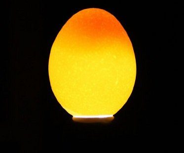 Egg Candling Lamp