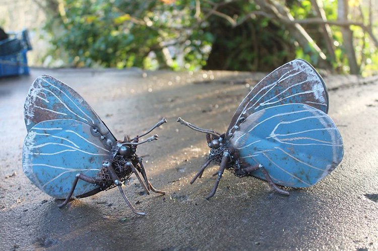 Holly Blue Butterflies