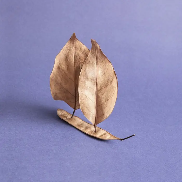 Leaf Ship