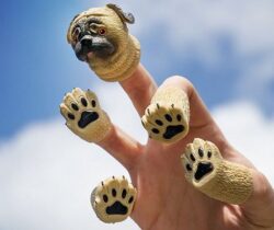 Pug Dog Finger Puppets
