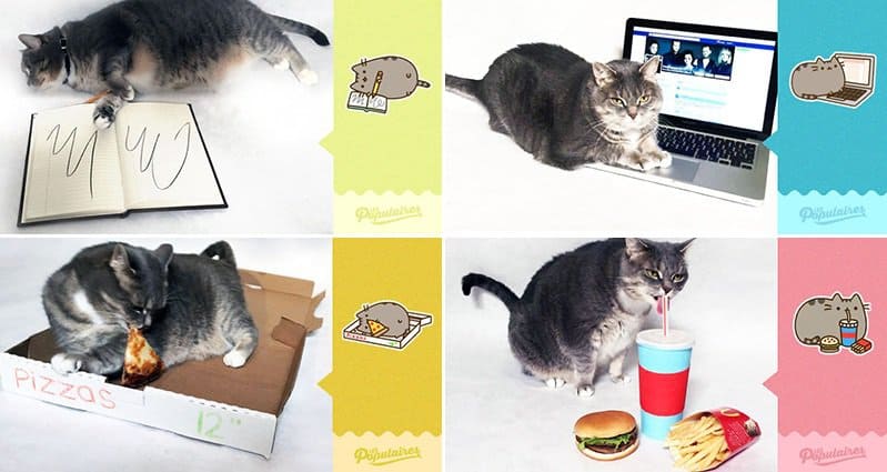 Pusheen Stickers Recreated Real Cat