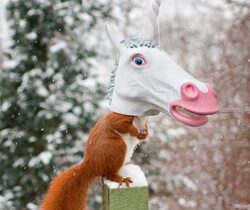 Unicorn Head Squirrel Feeder