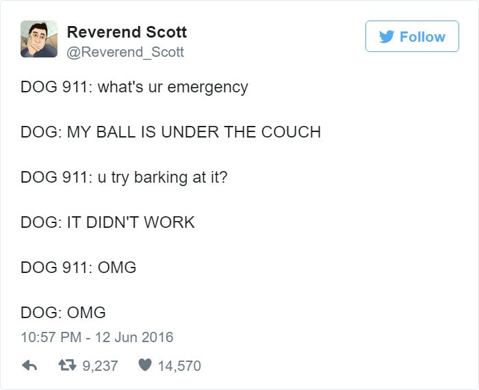 funny-dog-emergency-calls-ball