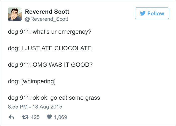 funny-dog-emergency-calls-chocolate