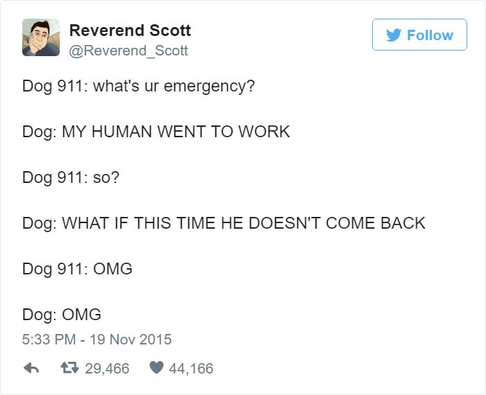 funny-dog-emergency-calls-work