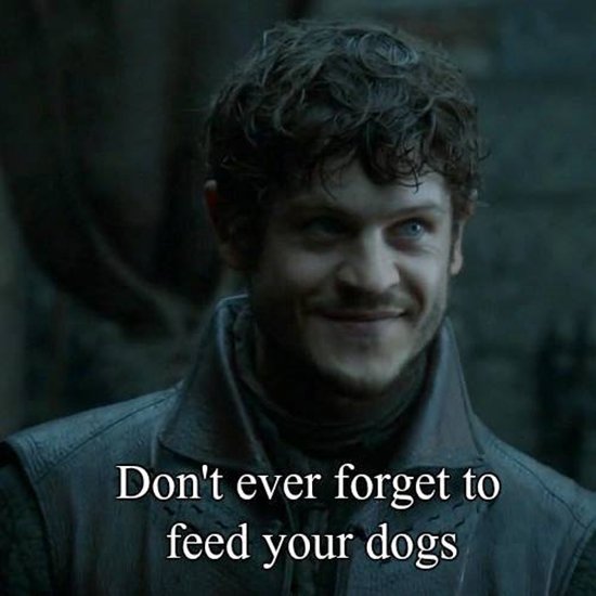 game-of-thrones-memes-dogs