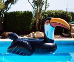 giant inflatable toucan