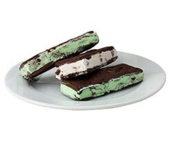 ice cream sandwich mold