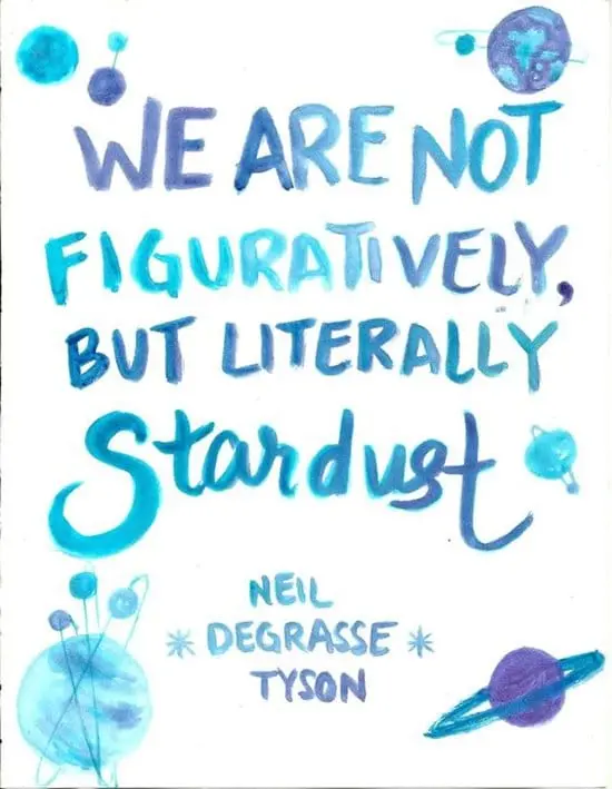 neil-degrasse-tyson-quotes-stardust