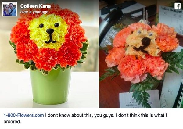 online-shopping-gone-wrong-flowers