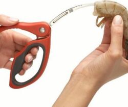 shrimp deveiner