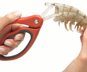 shrimp deveiner tool