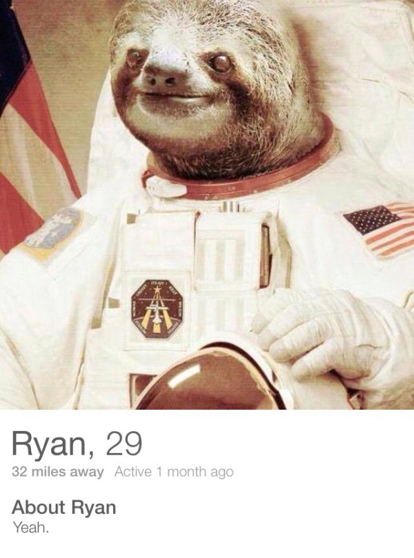 tinder-sloth