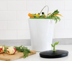 Countertop Compost Bin