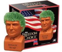 Donald Trump Chia Plant