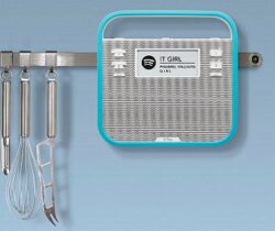 Smart Portable Speaker