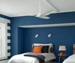 Wi-fi ceiling fan