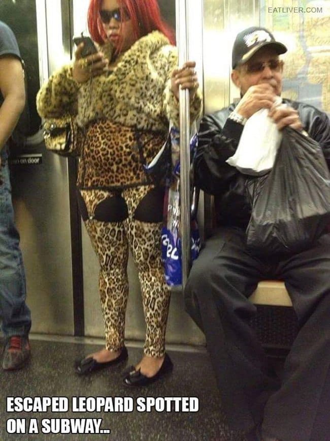 public-transport-crazies-leopard