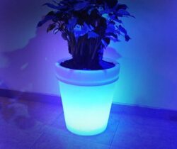 solar light up flower pot