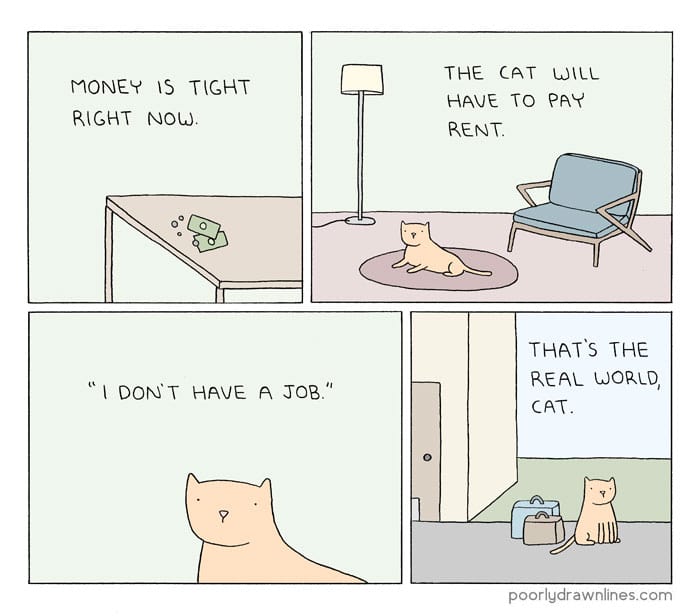 Funny-Animal-Comics-cat