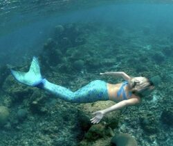 Mermaid Tail For Swimming