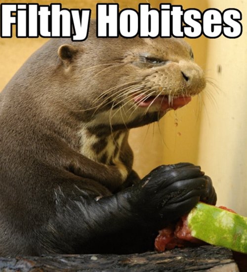 adorable-otters-filthy