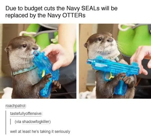 adorable-otters-navy