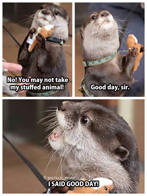 adorable-otters-stuffed