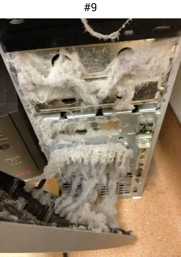 built up fur in computer tower dust