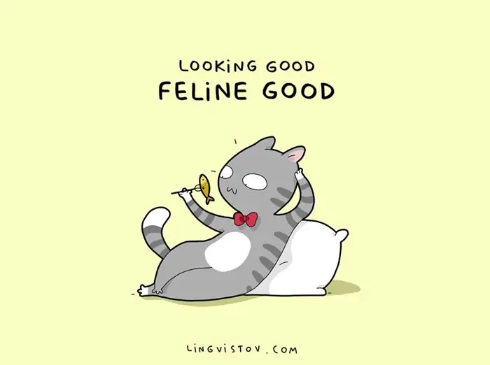 cat-puns-feline-good
