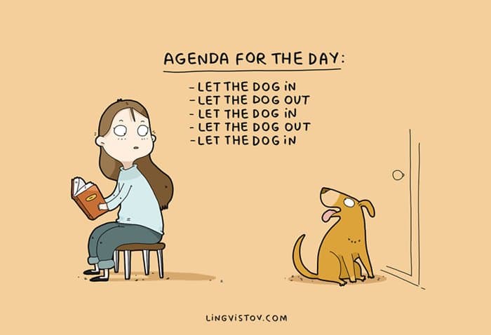 dog-owners-understand-days-agenda