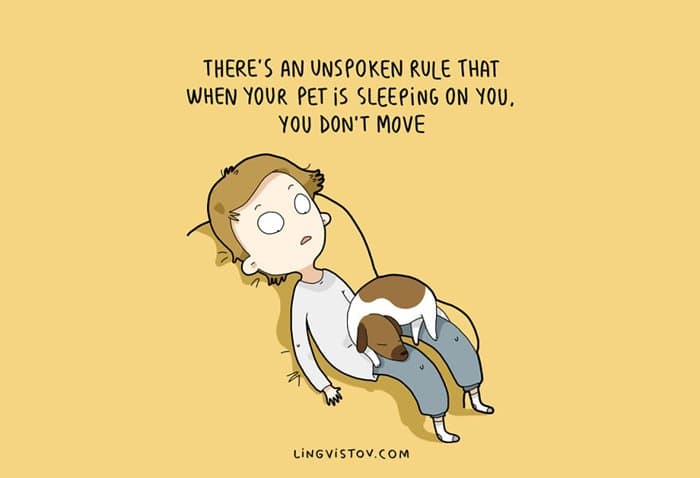 dog-owners-understand-sleep