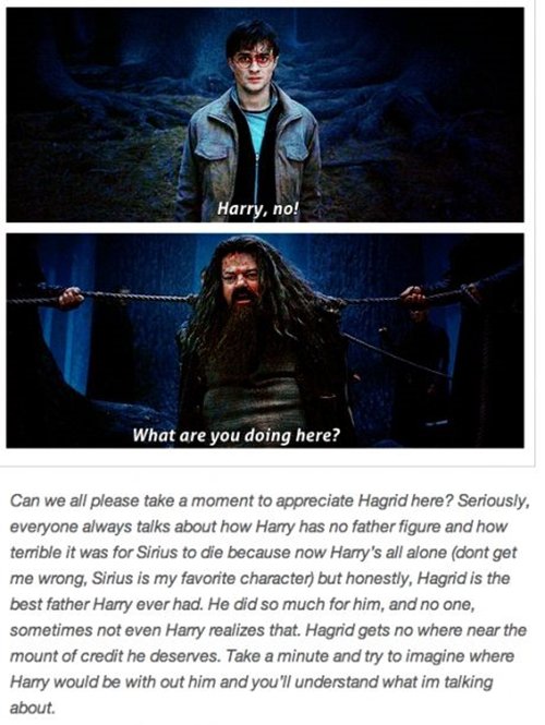 harry-potter-hagrid