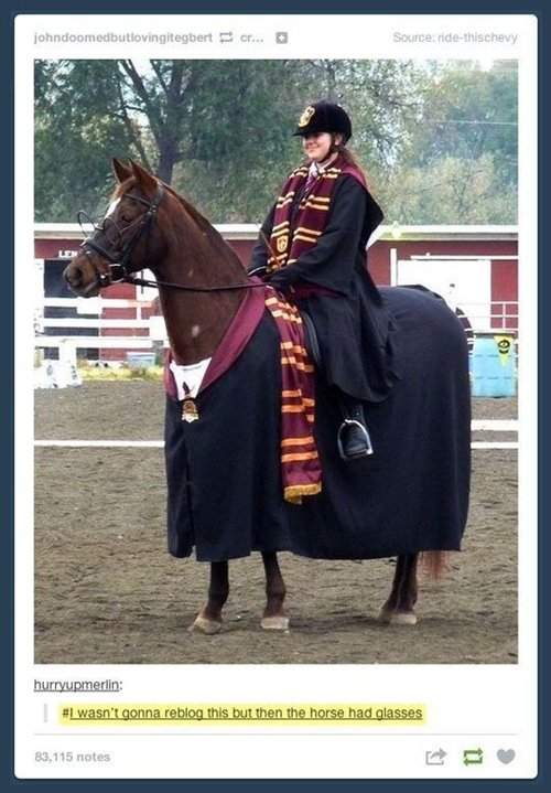 harry-potter-horse