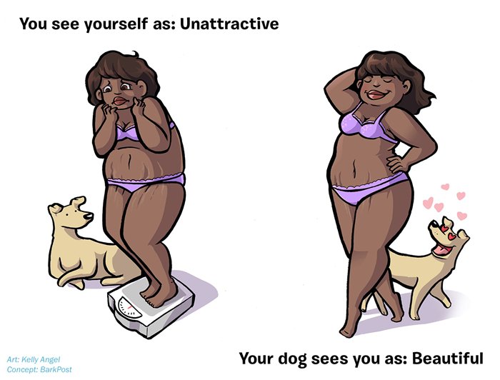 how-your-dog-sees-you-beautiful