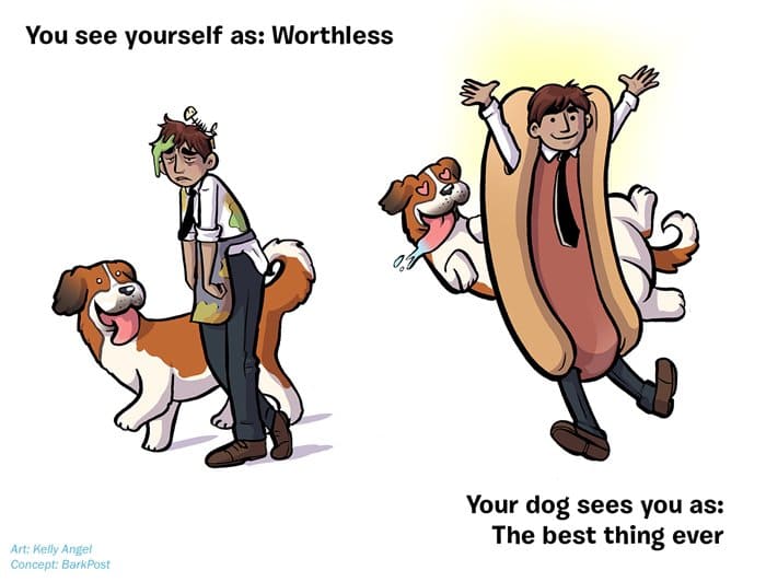 how-your-dog-sees-you-best