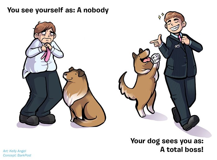 how-your-dog-sees-you-boss