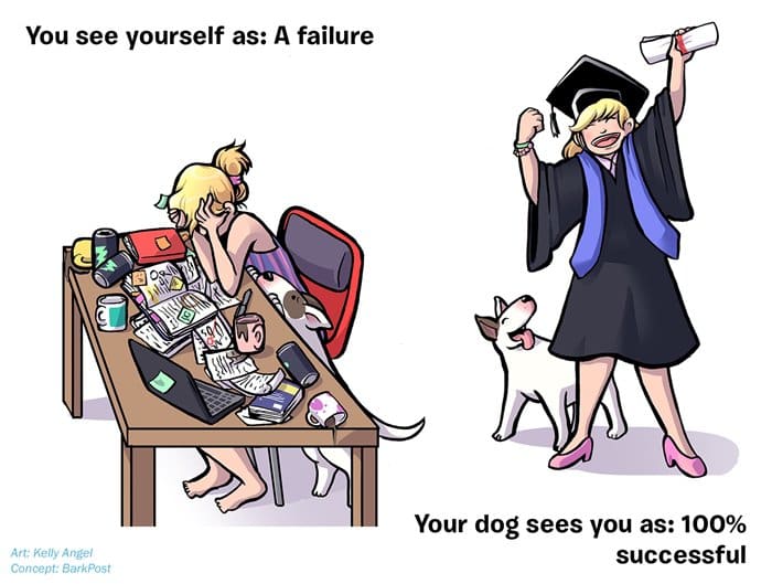 how-your-dog-sees-you-success