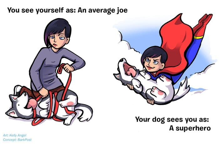 how-your-dog-sees-you-superhero