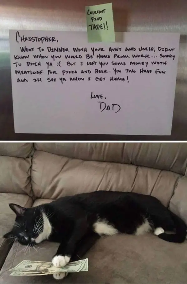 Funny Notes From Parents To Their Offspring
