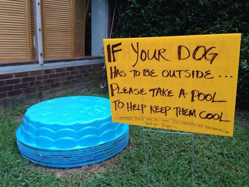 people-arent-so-bad-pool