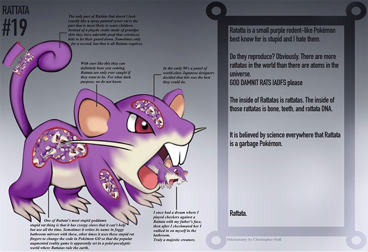 pokemon-anatomy-c-stoll-rattata