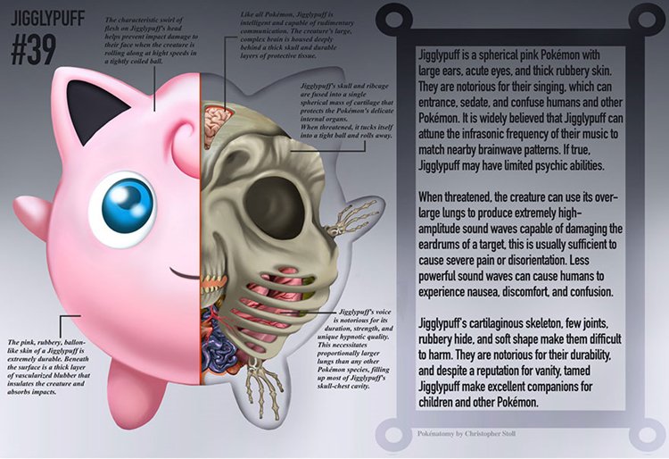 pokemon-anatomy-christopher-stoll-jigglypuff