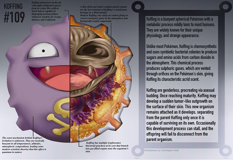 pokemon-anatomy-koffing