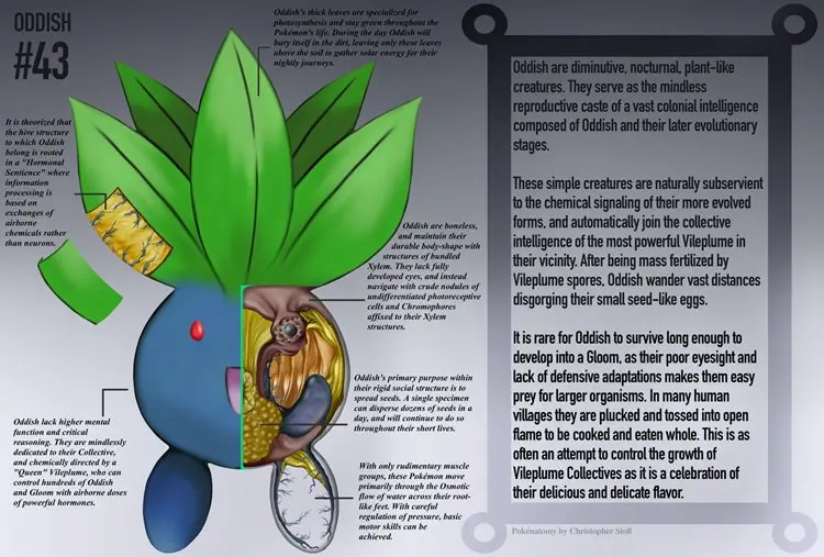 pokemon-anatomy-oddish