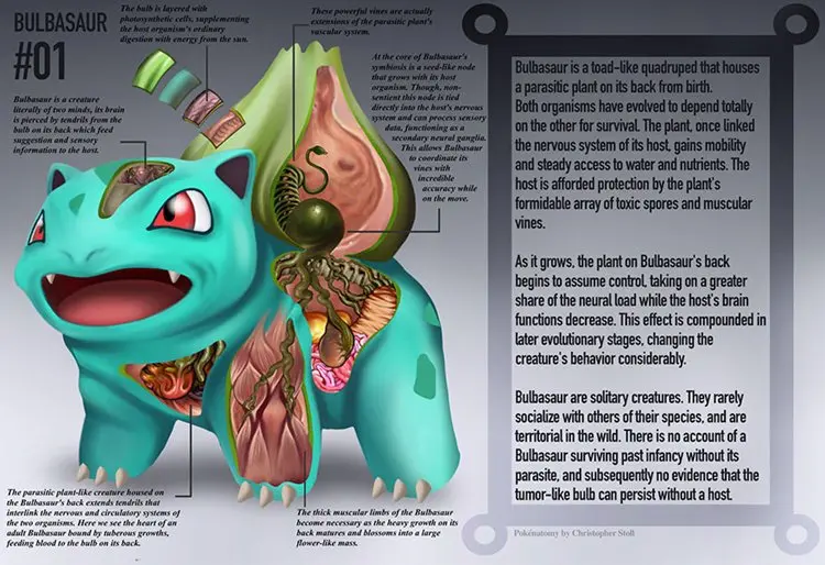 pokemon-anatomy-stoll-bulbasaur