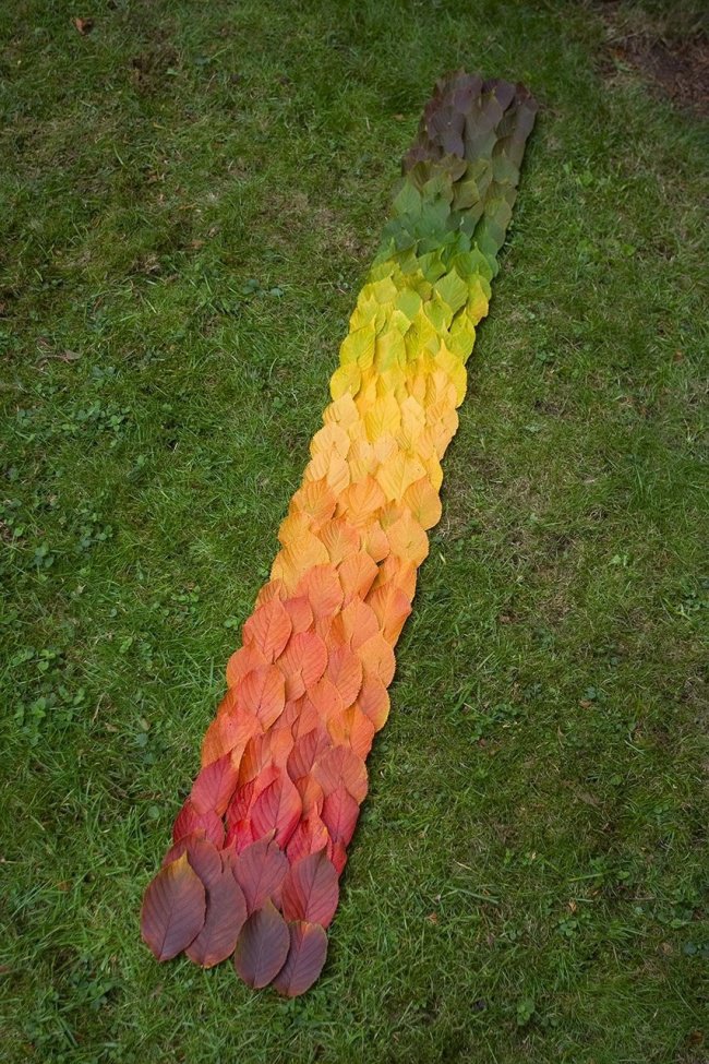 satisfying-images-leaves