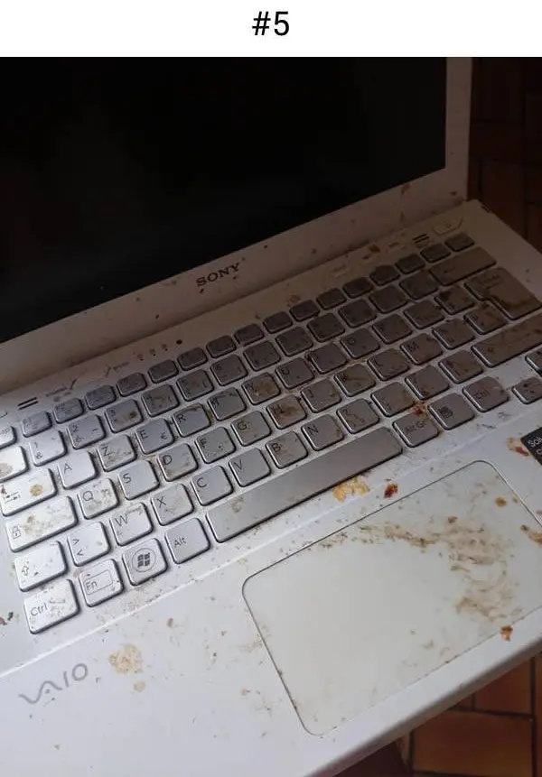 spilt on laptop