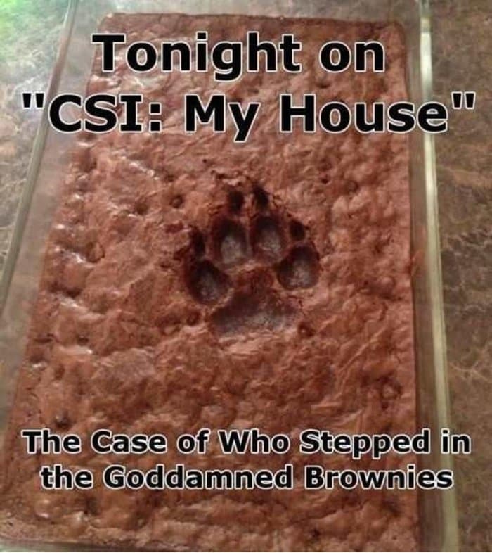 worse-day-csi